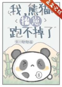 我熊猫不服全文免费