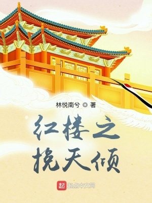红楼之挽天倾小说5200