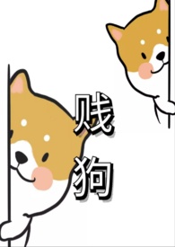 小说贱狗